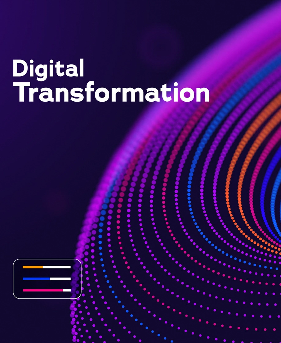 Harley Young — Brisbane digital strategy specialist